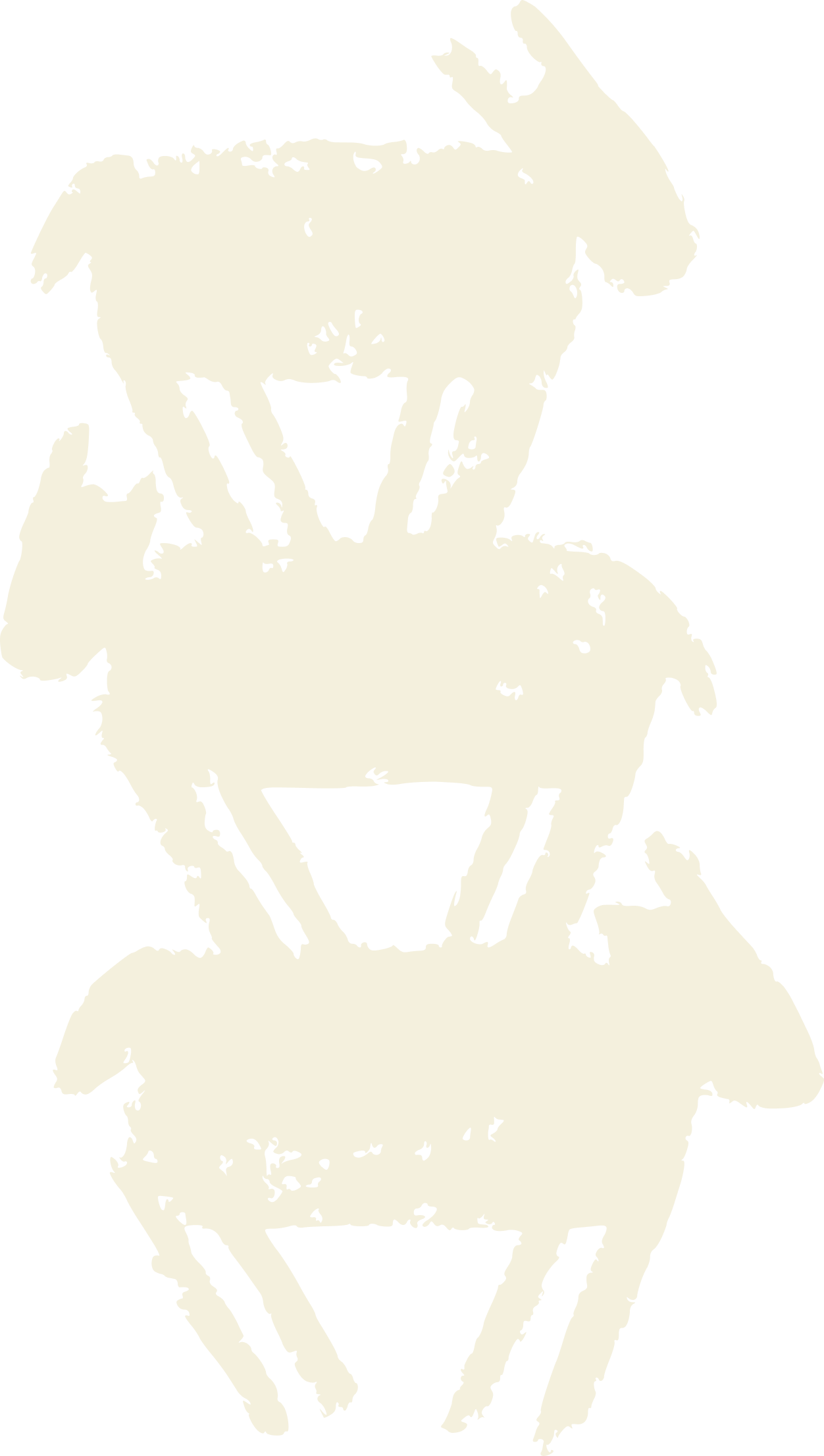 illustration of goats